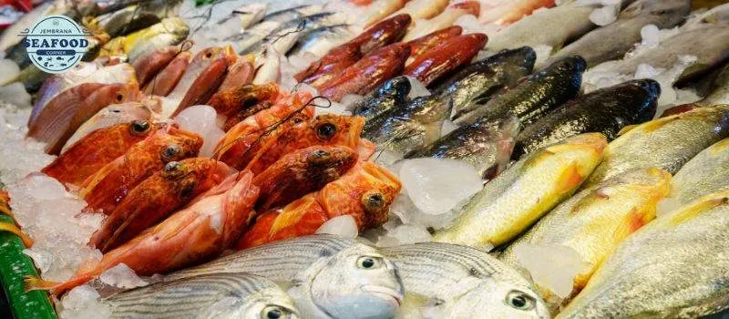 Perbandingan ikan laut vs ikan tawar mana yang lebih lezat dan sehat